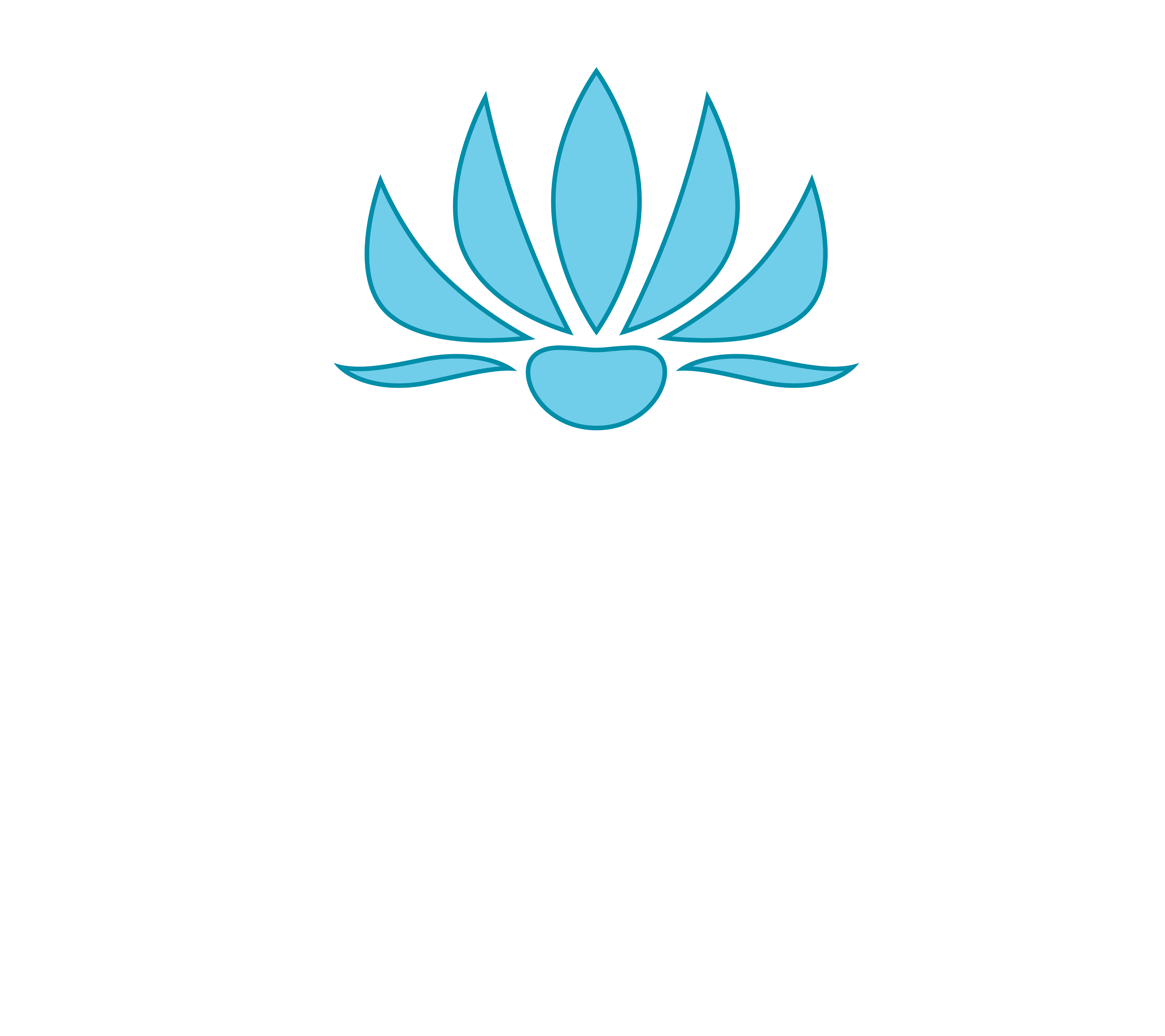 The image features the word "NOVA" in large letters with a lotus flower above it and the words "BY LOTUS" below.